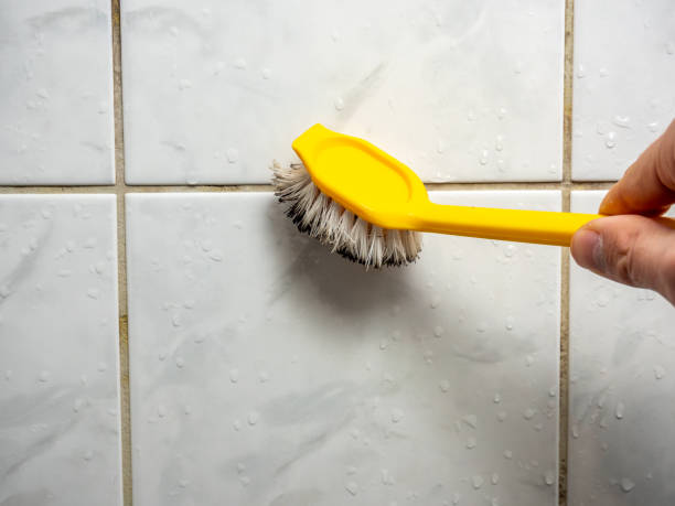 Best Kitchen Mold Remediation in Lake Lorelei, OH