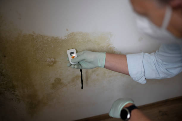 Best Industrial Mold Remediation in Lake Lorelei, OH