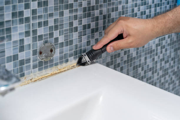 Best DIY Mold Remediation Support Services in Lake Lorelei, OH